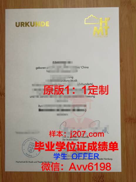 汉堡工业大学硕士毕业证(汉堡大学和汉堡工业大学)