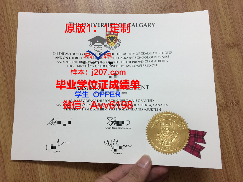 沙希德佐勒菲卡尔·阿里·布托科技学院毕业证样式