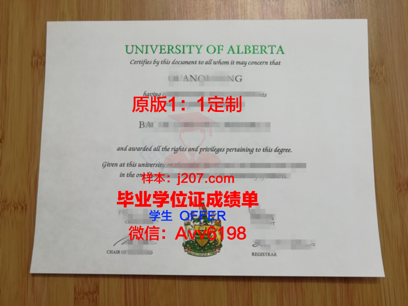 阿尔布施塔特-锡格马林根应用技术大学硕士毕业证书样本