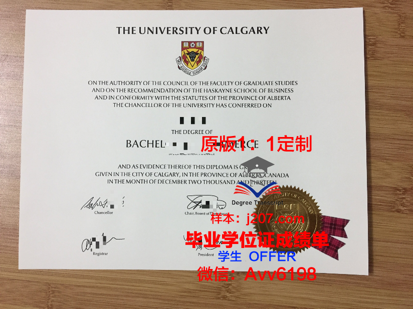 沙希德佐勒菲卡尔·阿里·布托科技学院毕业证样本