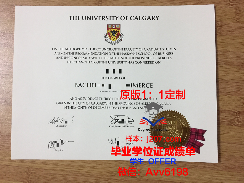 沙希德佐勒菲卡尔·阿里·布托科技学院毕业证样式