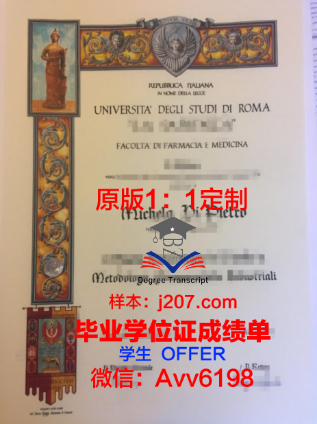 罗马第二大学本科毕业证：一份跨越国界的荣誉证书