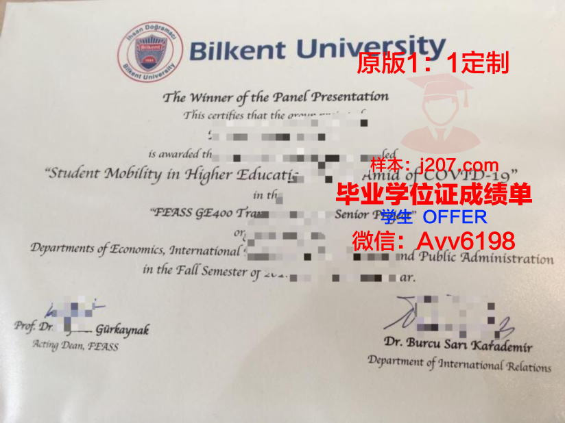 阿利坎特大学毕业证电子版