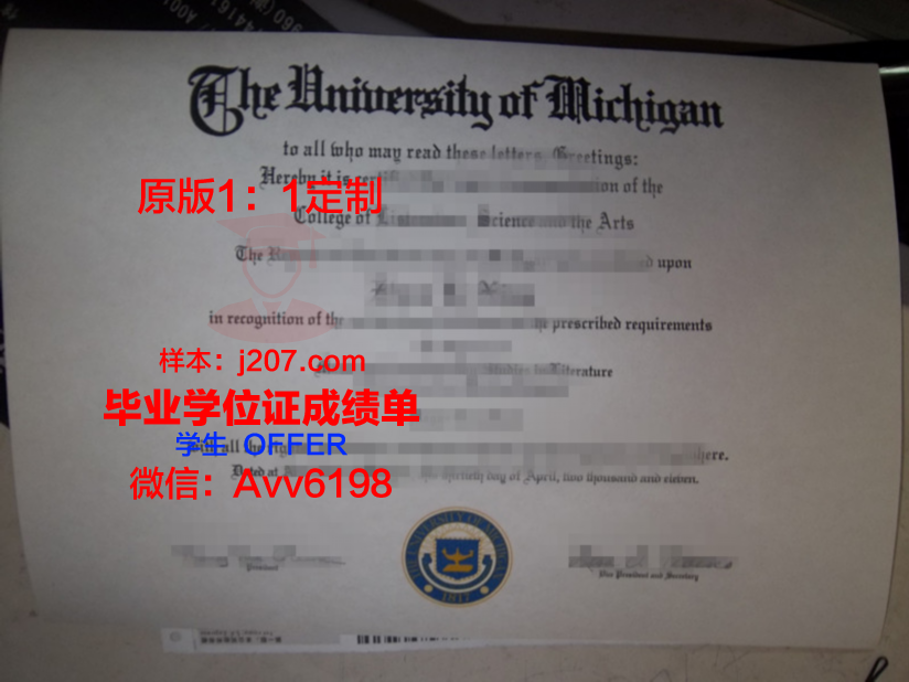 沃罗涅日国立大学毕业证图片