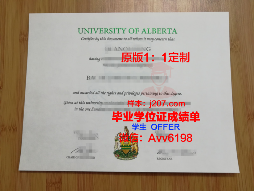 阿尔松别墅尼斯国立高等艺术学院硕士毕业证的重量与价值