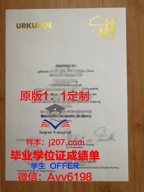 汉堡造型艺术学院毕业证模板(汉堡艺术大学)