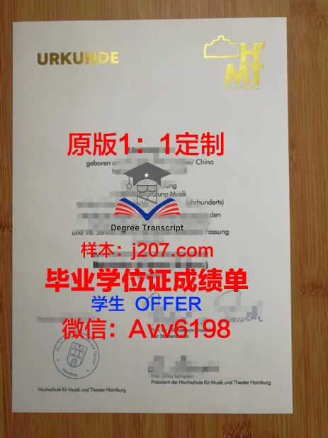汉堡品牌应用技术大学毕业证书图片模板(汉堡品牌应用科技大学)