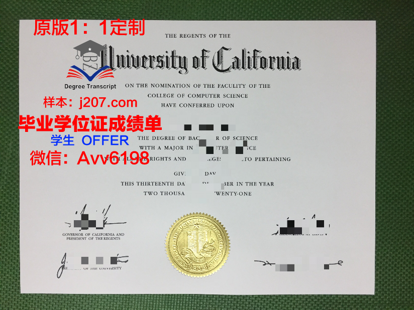 高盛学院毕业证图片(高盛培训学校)