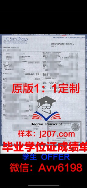 罗斯托夫国立大学成绩单：一份跨越时空的教育见证