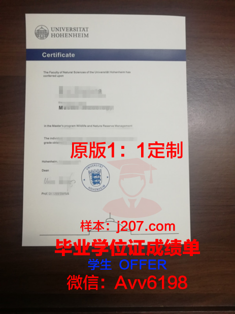 罗森海姆应用技术大学文凭(罗森海姆全屋定制服务机构)