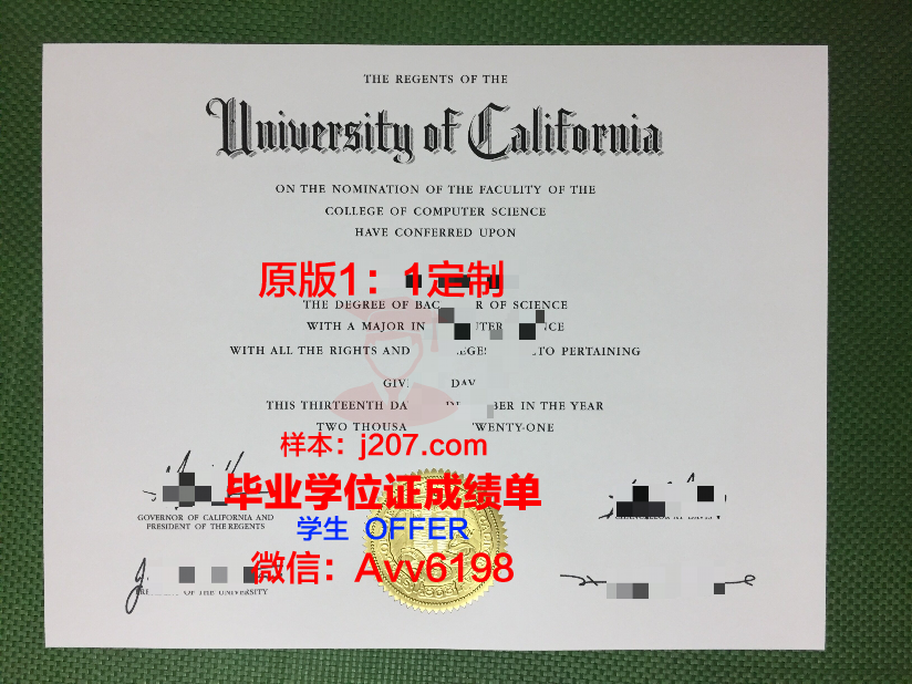 美因茨大学毕业证图片(美因茨大学英语授课硕士)