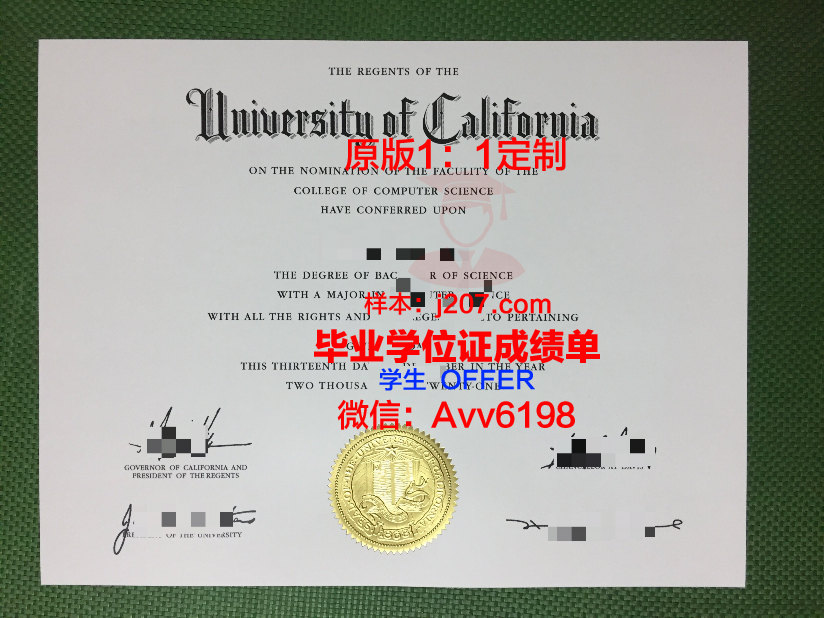 美因茨大学毕业证：一份承载荣誉与梦想的证书