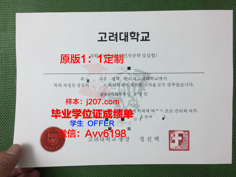 高丽大学毕业证等级(高丽大学毕业证等级怎么填)