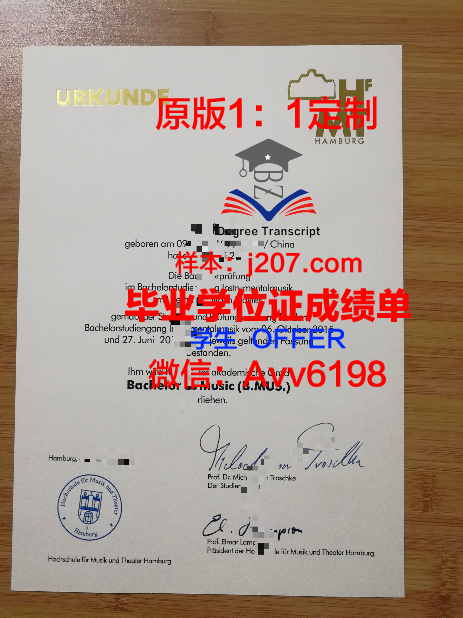 汉堡大学毕业证图片(汉堡大学要学费吗)