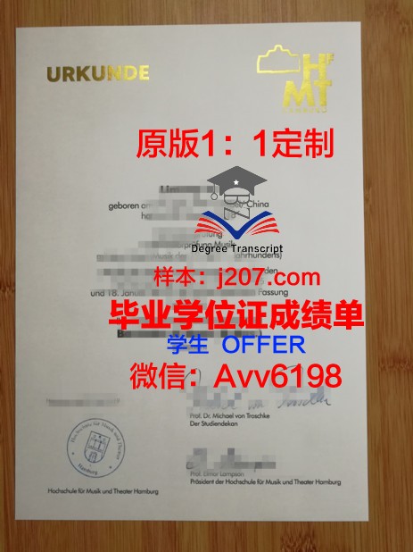 汉堡造型艺术学院毕业证模板(汉堡艺术大学)