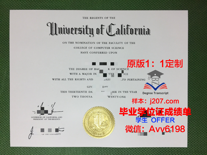 沙卡里姆国立大学毕业证模板