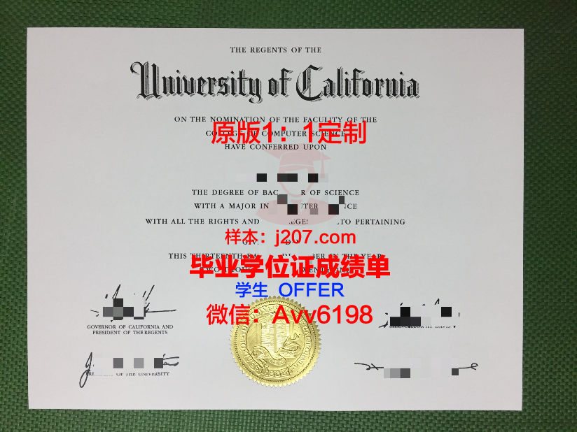江原大学毕业证真伪(江原大学毕业证真伪查询网)