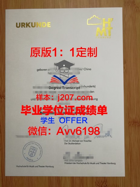 汉堡品牌应用技术大学成绩单：探索国际化教育新篇章