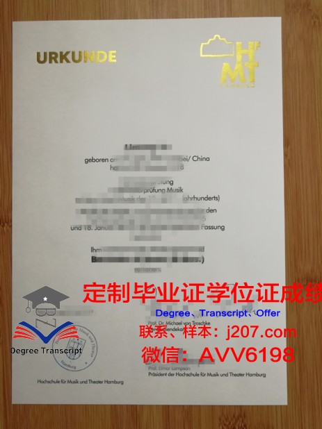 汉堡应用技术大学毕业证学位证(汉堡国际工程学院)