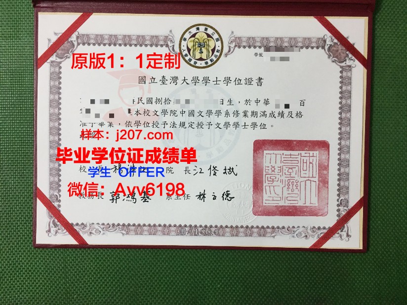 阿尔泰国立人文师范大学研究生毕业证(阿尔泰国立大学师范教育专业)