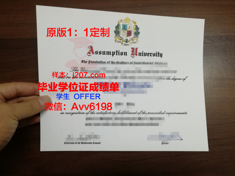 美利坚大学毕业证图片(美利坚大学毕业回国工作好找吗)