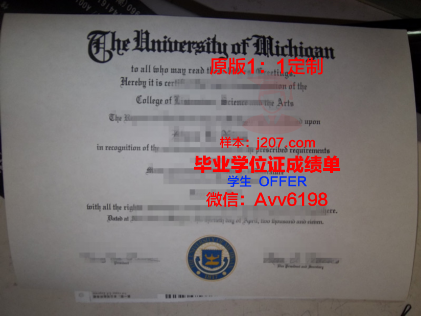 沙卡里姆国立大学毕业证模板