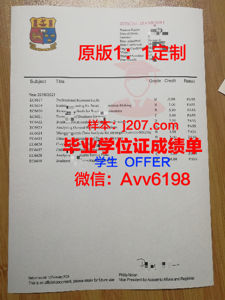 沃罗涅日国立大学毕业证是什么样子(沃罗涅日国立艺术学院)