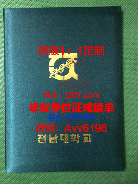 美因茨应用技术大学毕业证壳子