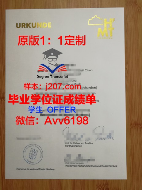 汉堡港口城市大学硕士毕业证(汉堡港港口功能)
