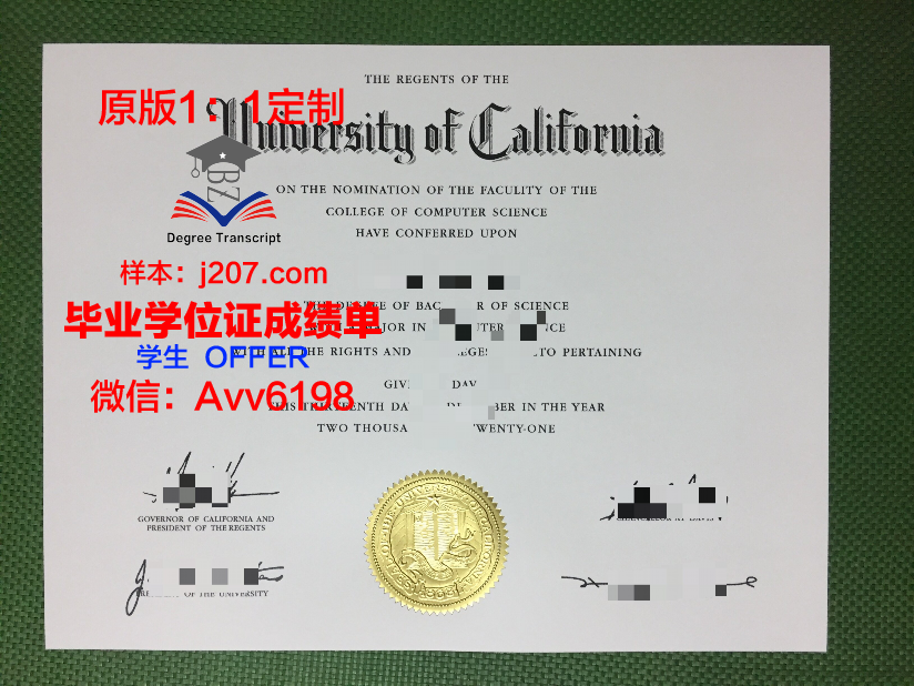 高尔基文学院毕业证长什么样(高尔基大学经历)