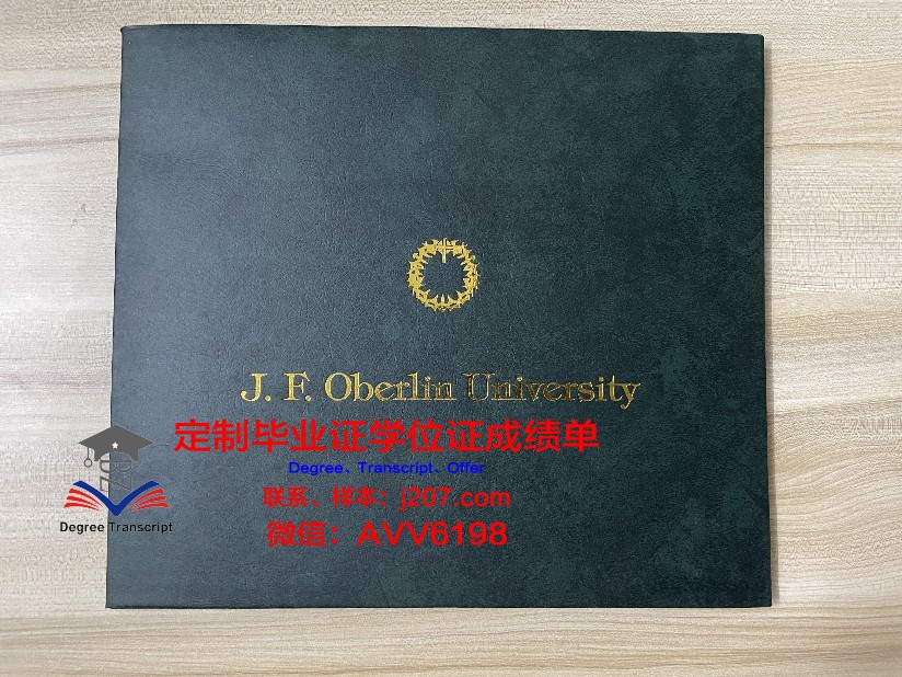 美因茨应用技术大学毕业证(美因茨应用科技大学)