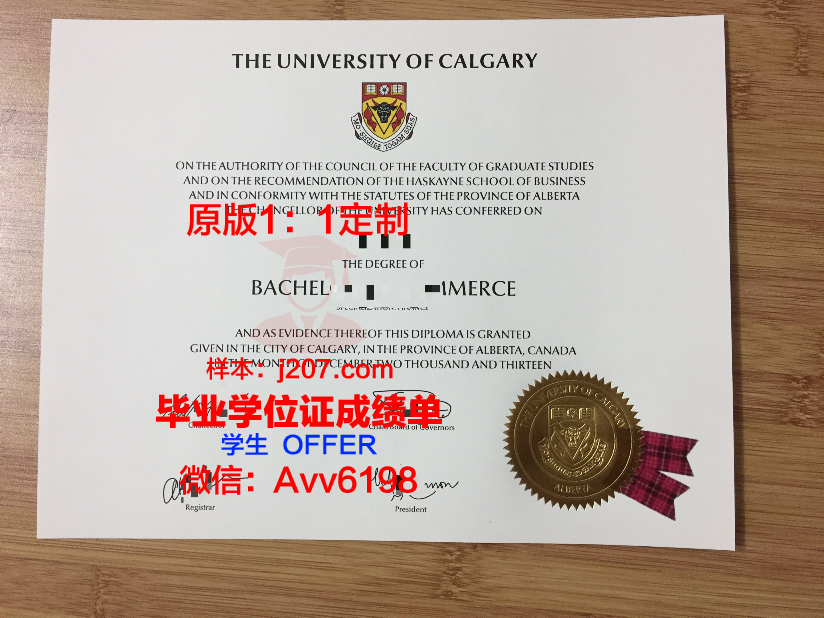 沙希德佐勒菲卡尔·阿里·布托科技学院毕业证书原件