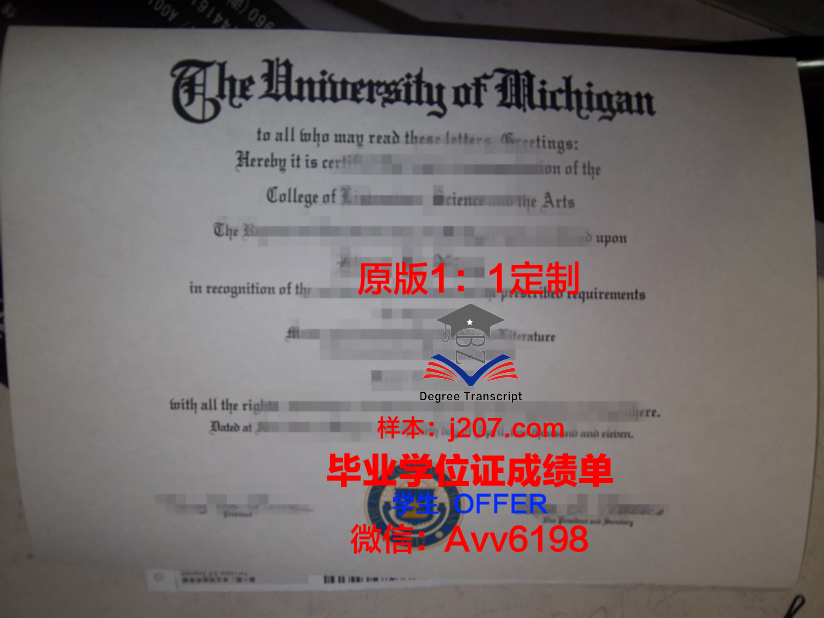 门罗学院毕业证电子版(电子版高校毕业证)