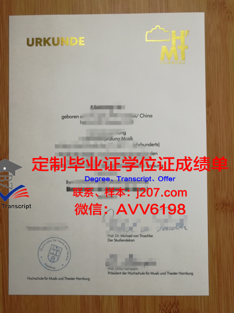 汉堡港口城市大学硕士毕业证(汉堡港港口功能)