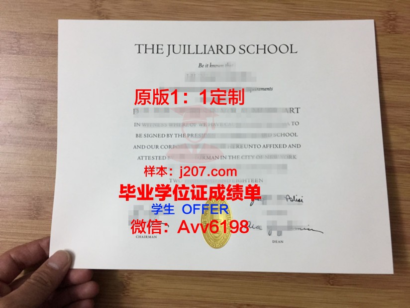 罗维戈音乐学院证书成绩单(意大利罗威戈音乐学院介绍)