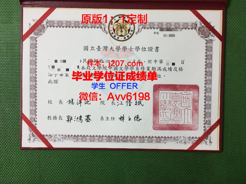 沃罗涅什国立建筑大学文凭(沃罗涅日国立林业技术大学在哪)