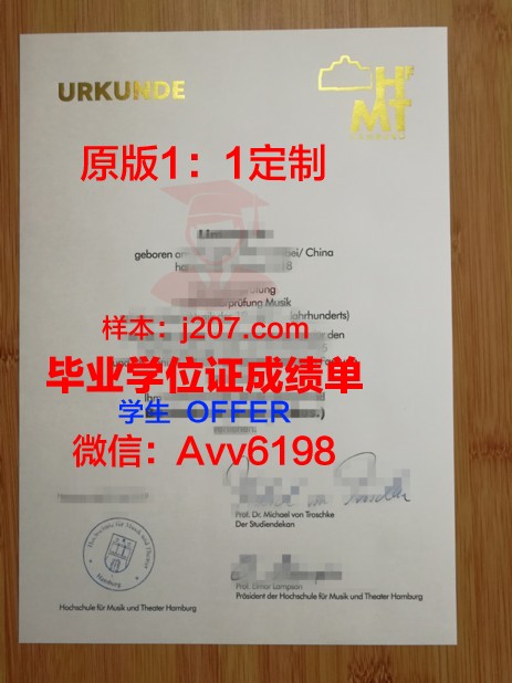 汉堡工业大学硕士毕业证(汉堡大学和汉堡工业大学)