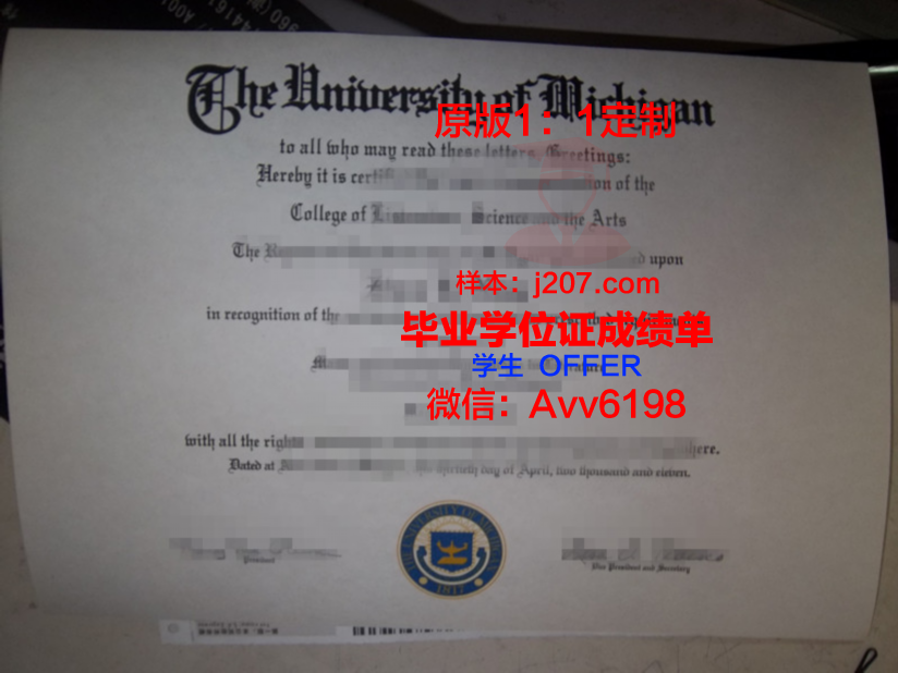 阿尔泰经济与法学学院硕士毕业证(阿尔泰国立大学毕业证含金量高吗)