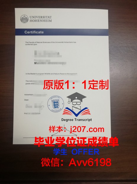 罗森海姆应用技术大学硕士毕业证书样本(德国罗森海姆应用科技大学)