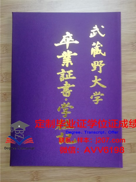 美因茨应用技术大学毕业证壳子