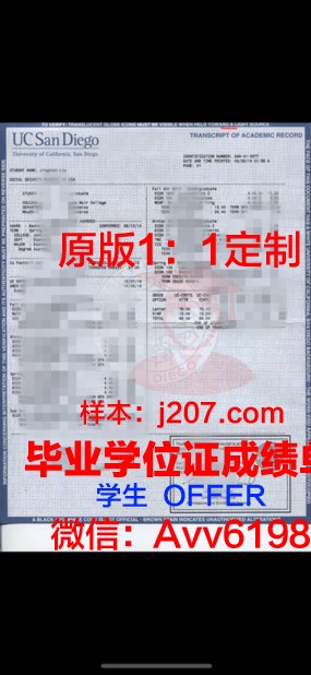 沃恩航空科技学院学位成绩单定制：打造个性化教育新篇章