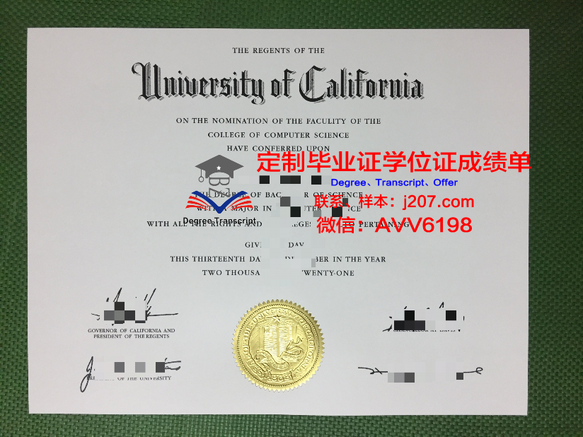 高盛学院毕业证是什么模样(高盛对学历的要求)
