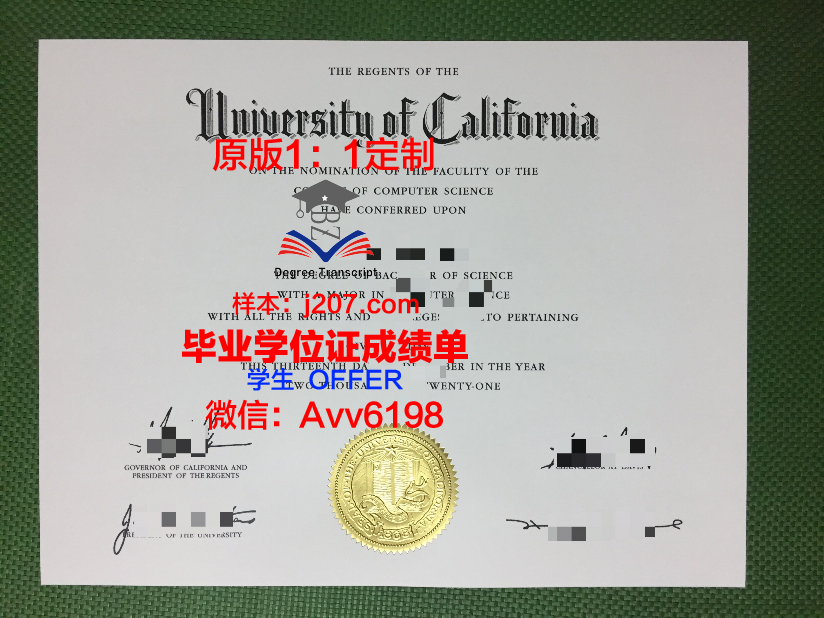 高中毕业证模板(高中毕业证模板样本空白)