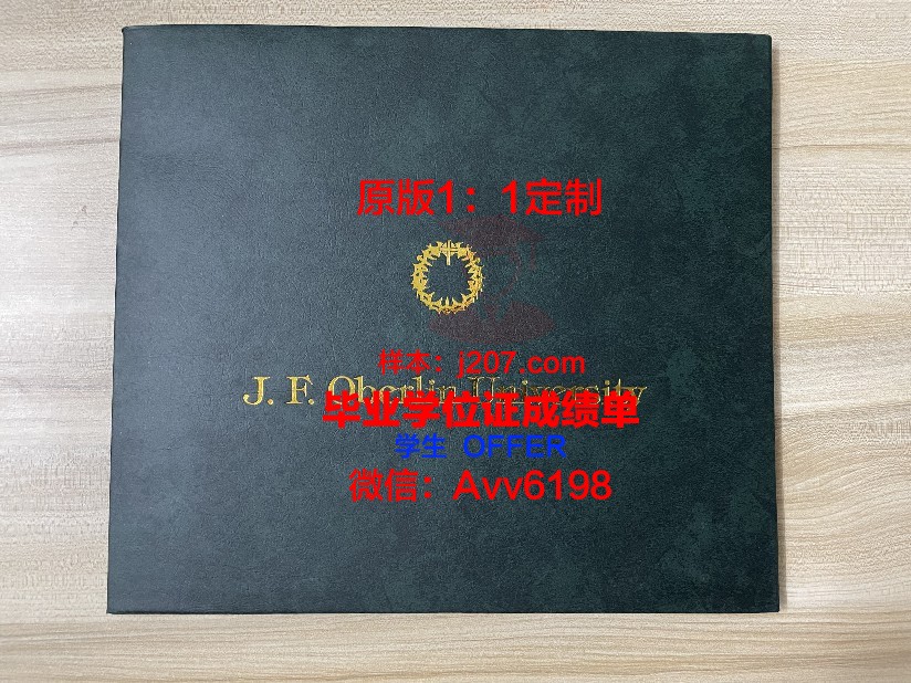 美因茨大学毕业证图片(美因茨大学申请条件)