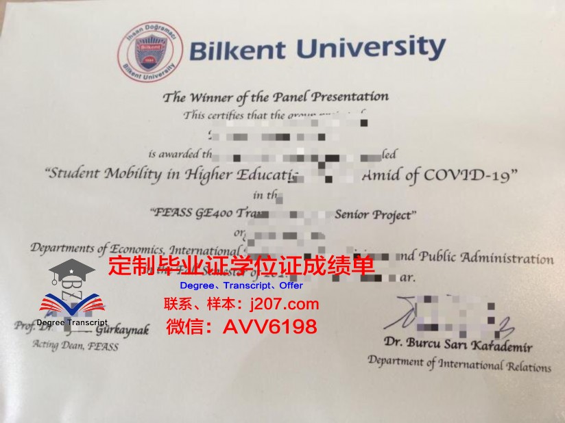 阿利坎特大学毕业证电子版