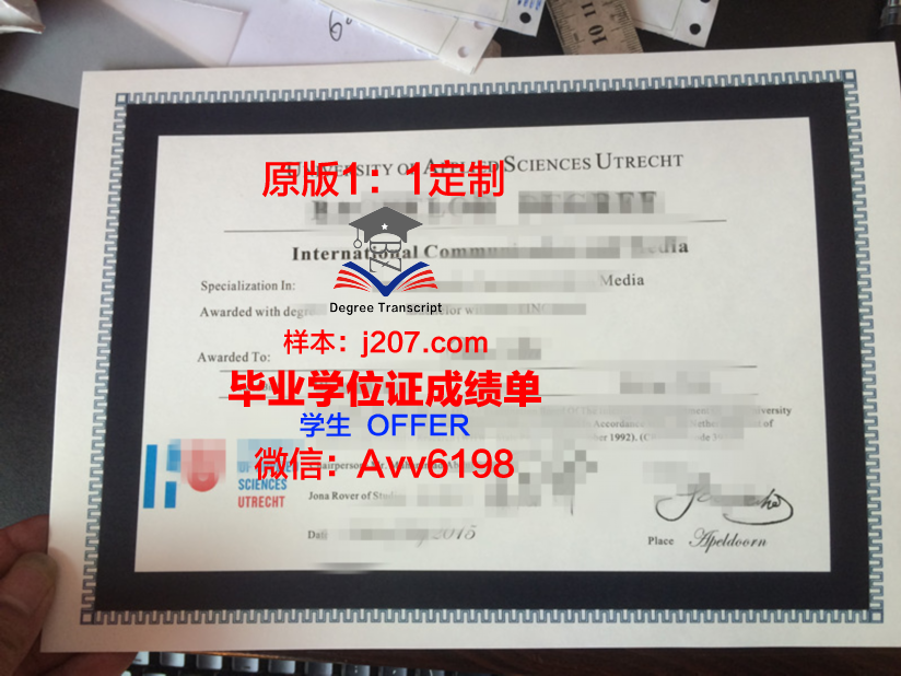 汉恩应用科学大学毕业证diploma