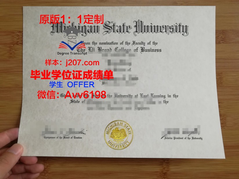 缅因州立大学毕业证成绩单 University of Maine diploma