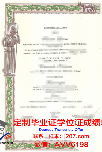 罗马第三大学毕业证书模板(罗马三大成绩查询)