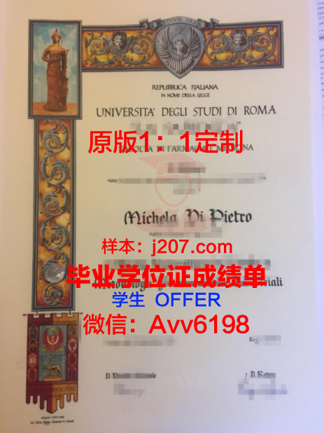 罗马第三大学毕业证书原件(罗马第三大学毕业证书原件是什么)