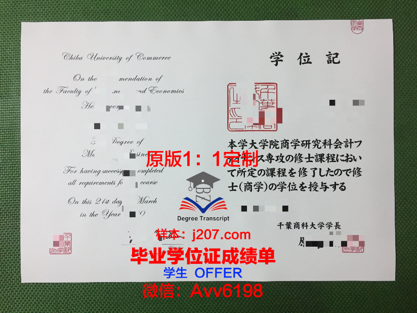 骏台电子情报与商科专门学校硕士毕业证：开启职场新篇章的钥匙